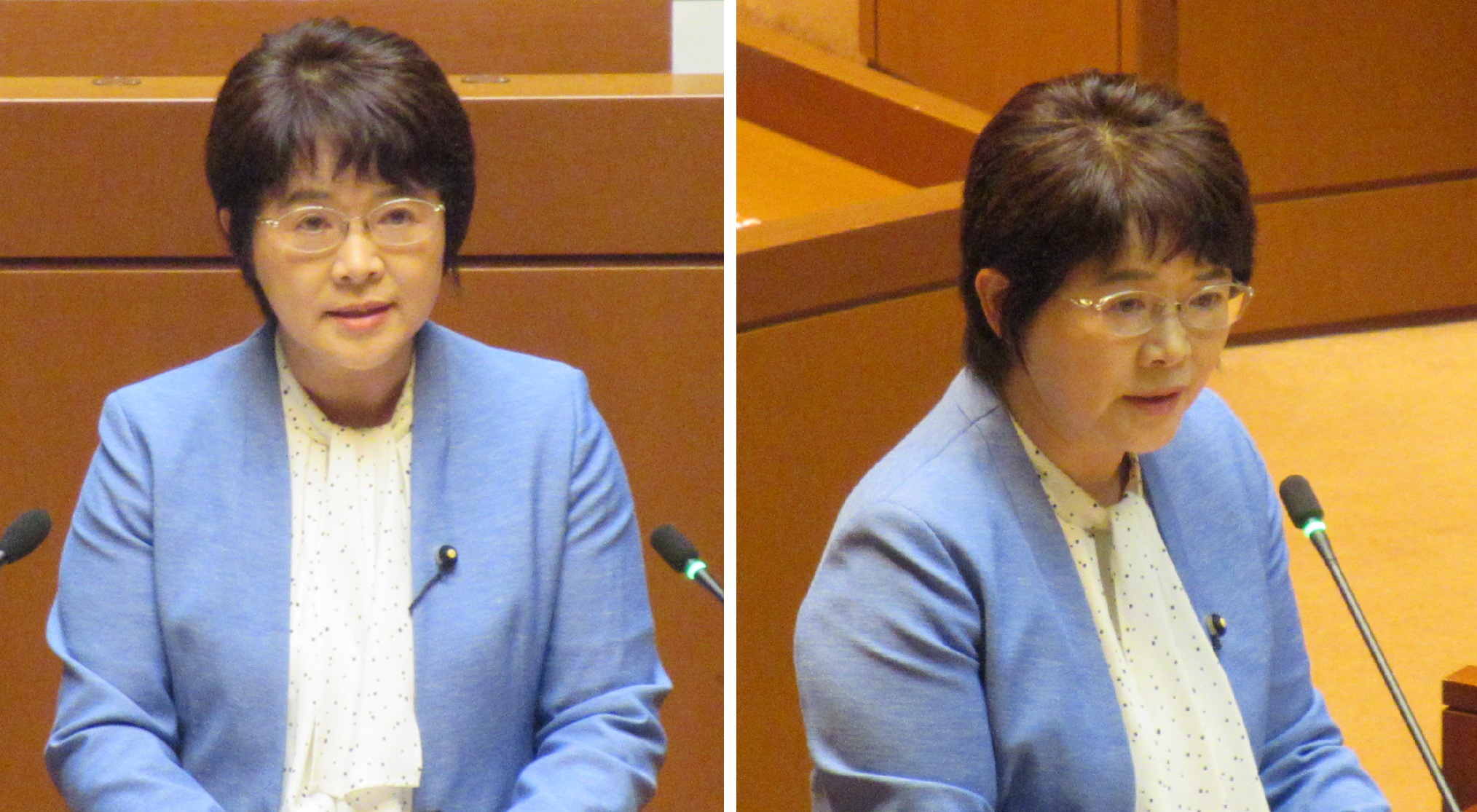 0625ふなやま県議一般質問